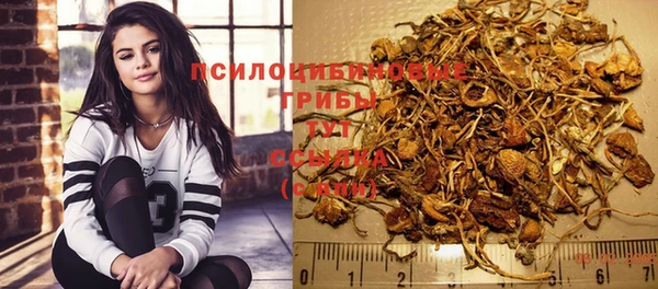 дмт Арсеньев