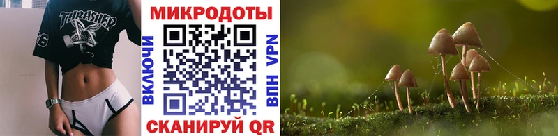 Псилоцибиновые грибы GOLDEN TEACHER  Купить где  Углич 